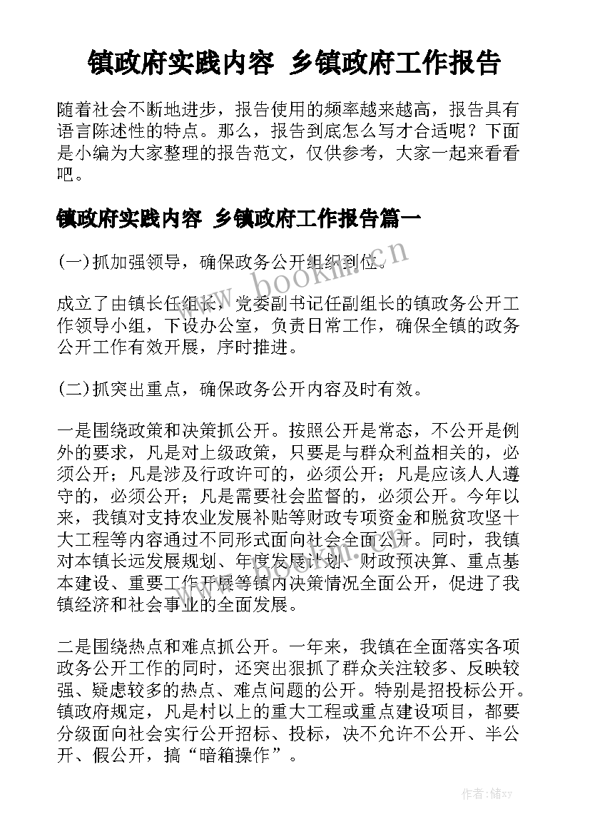 镇政府实践内容 乡镇政府工作报告