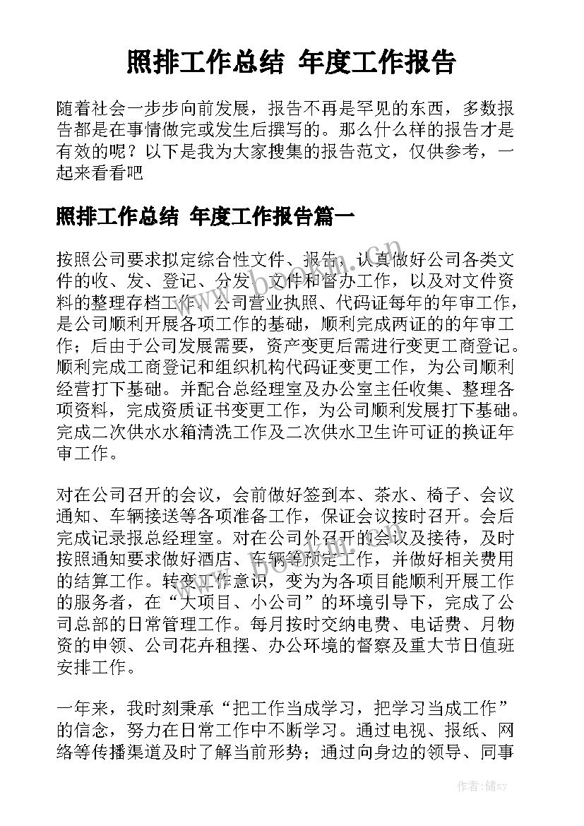 照排工作总结 年度工作报告