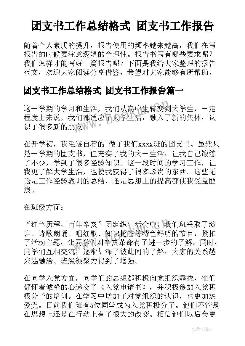 团支书工作总结格式 团支书工作报告