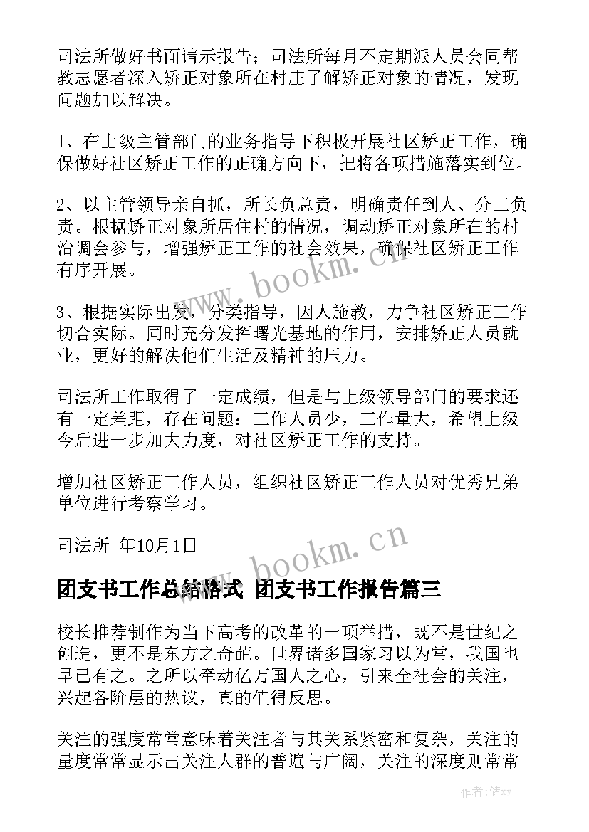 团支书工作总结格式 团支书工作报告