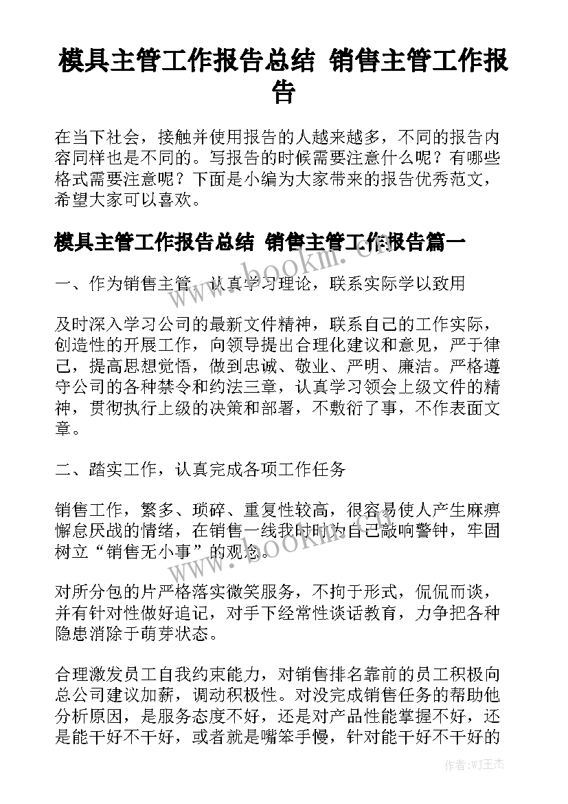 模具主管工作报告总结 销售主管工作报告