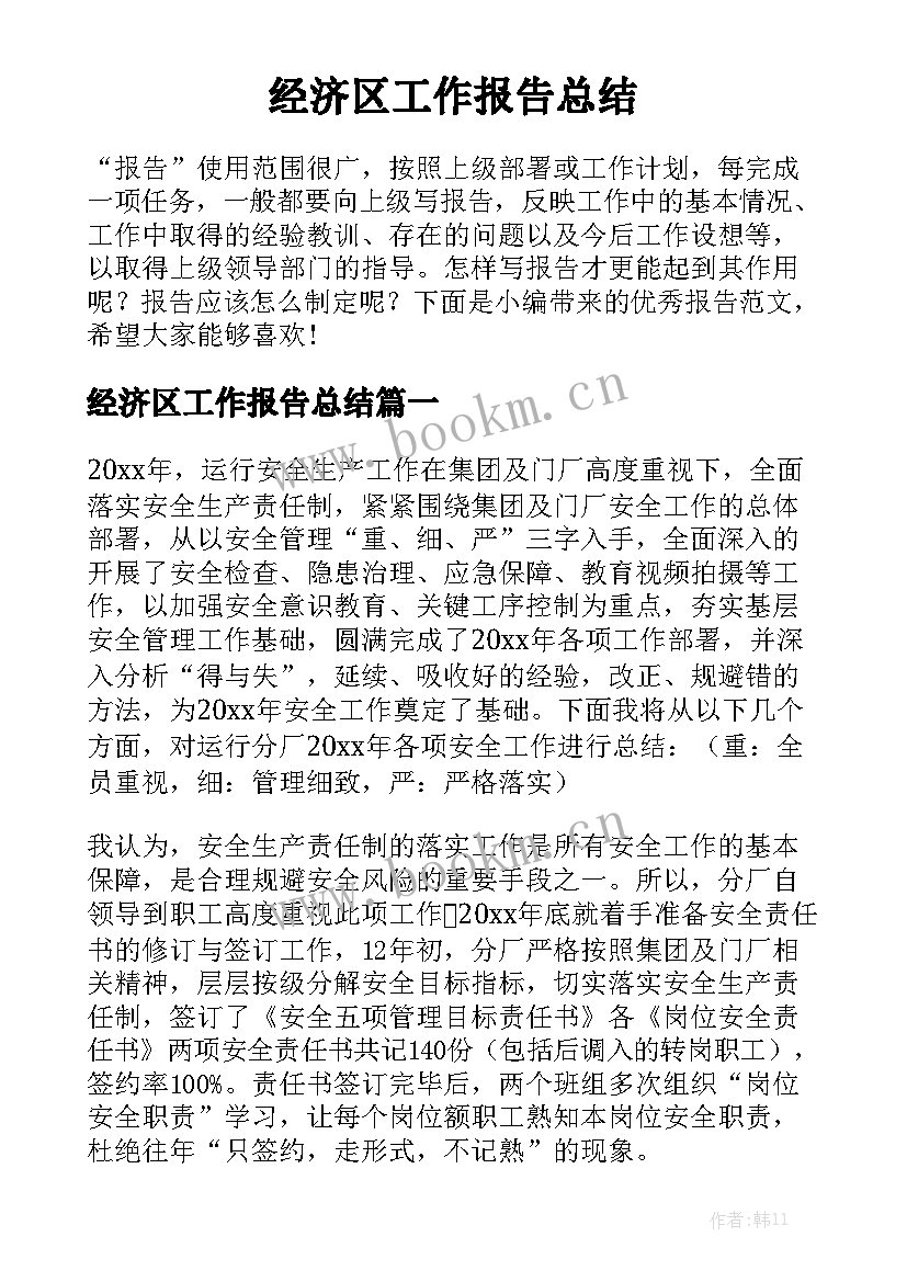 经济区工作报告总结