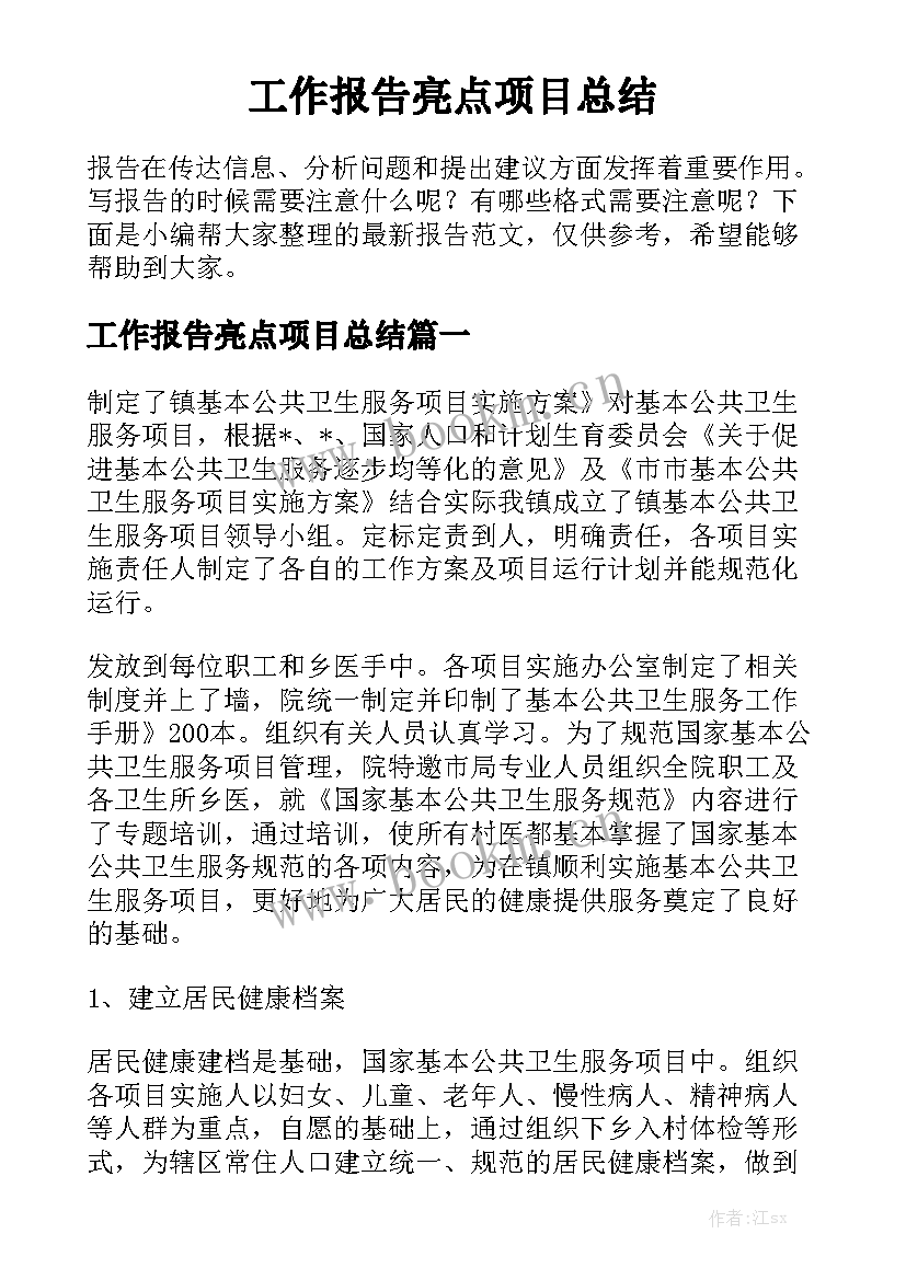 工作报告亮点项目总结