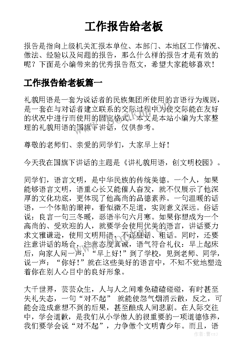 工作报告给老板