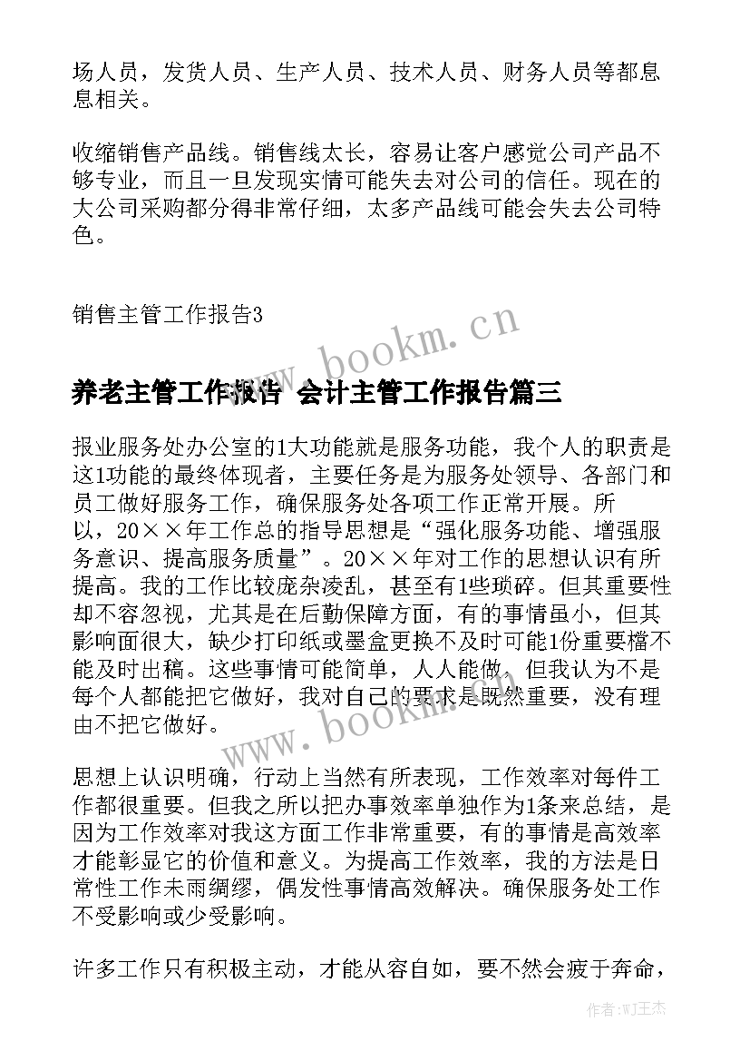 养老主管工作报告 会计主管工作报告