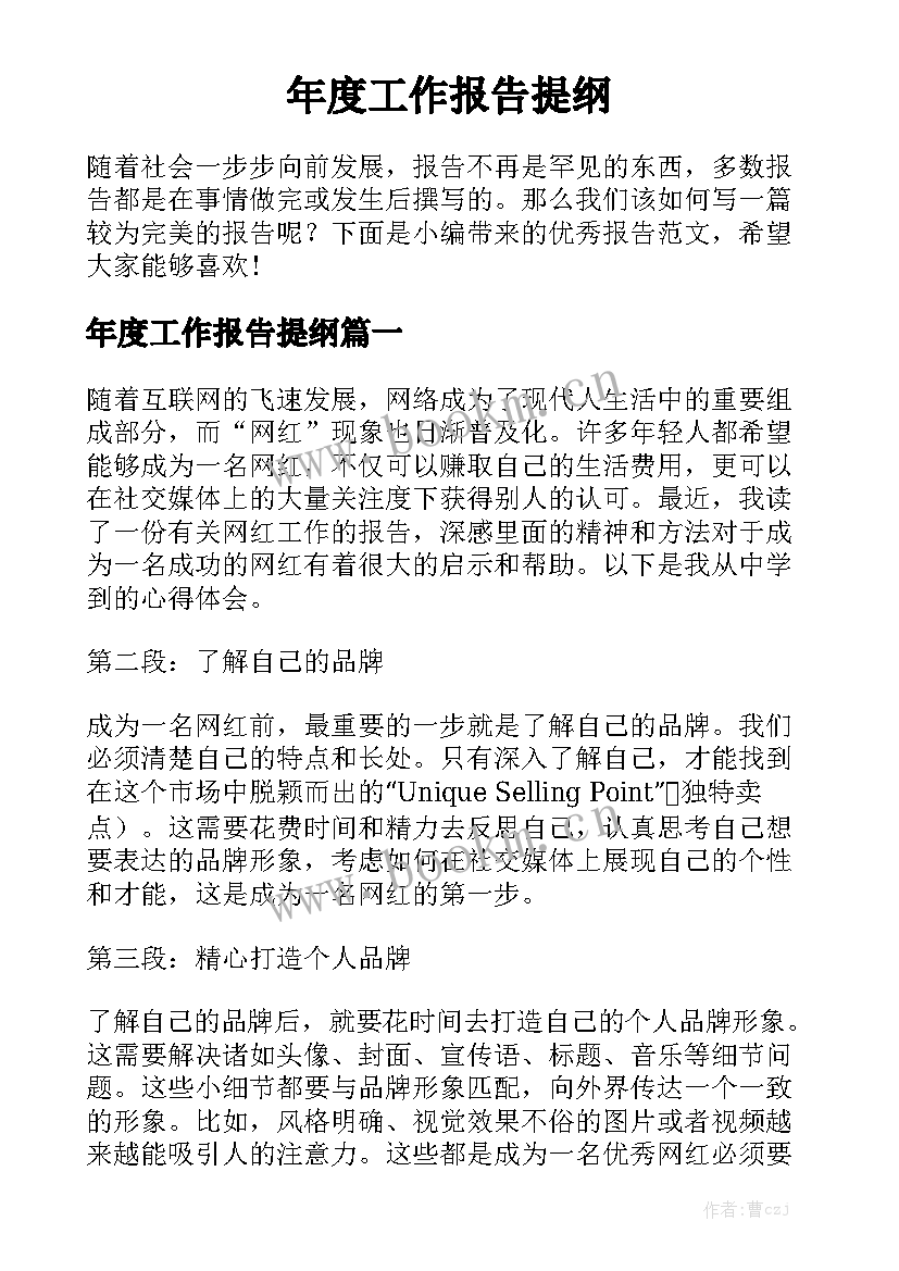 年度工作报告提纲