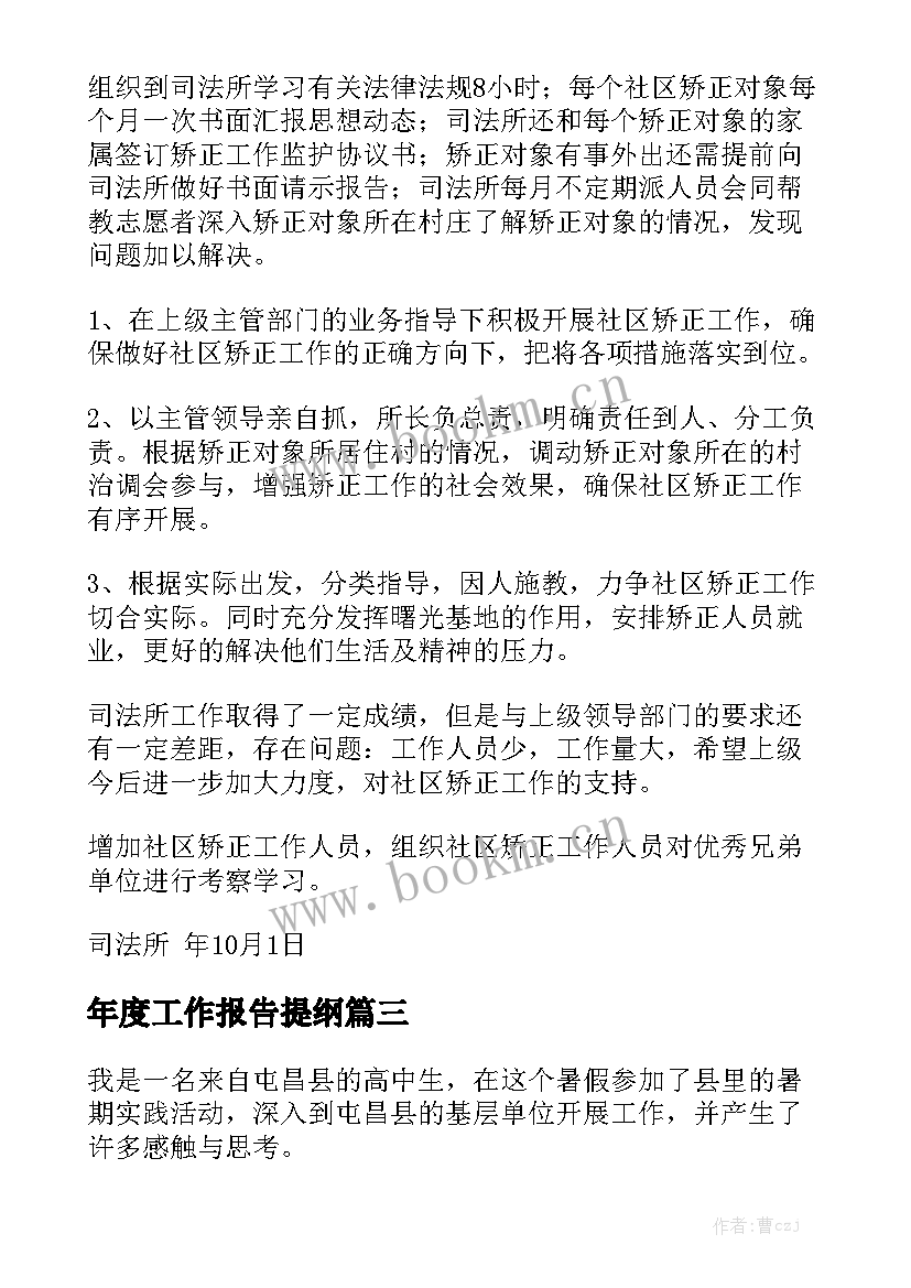 年度工作报告提纲