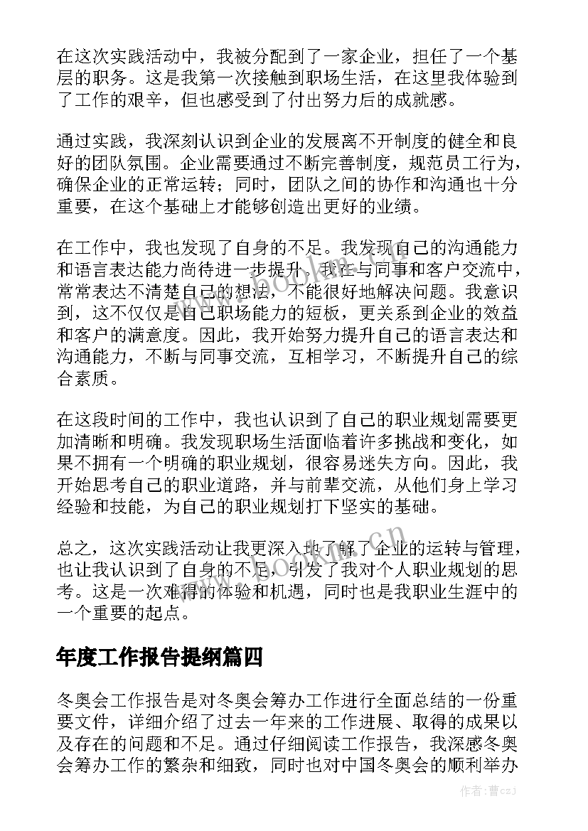 年度工作报告提纲