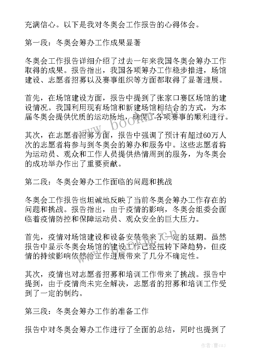 年度工作报告提纲