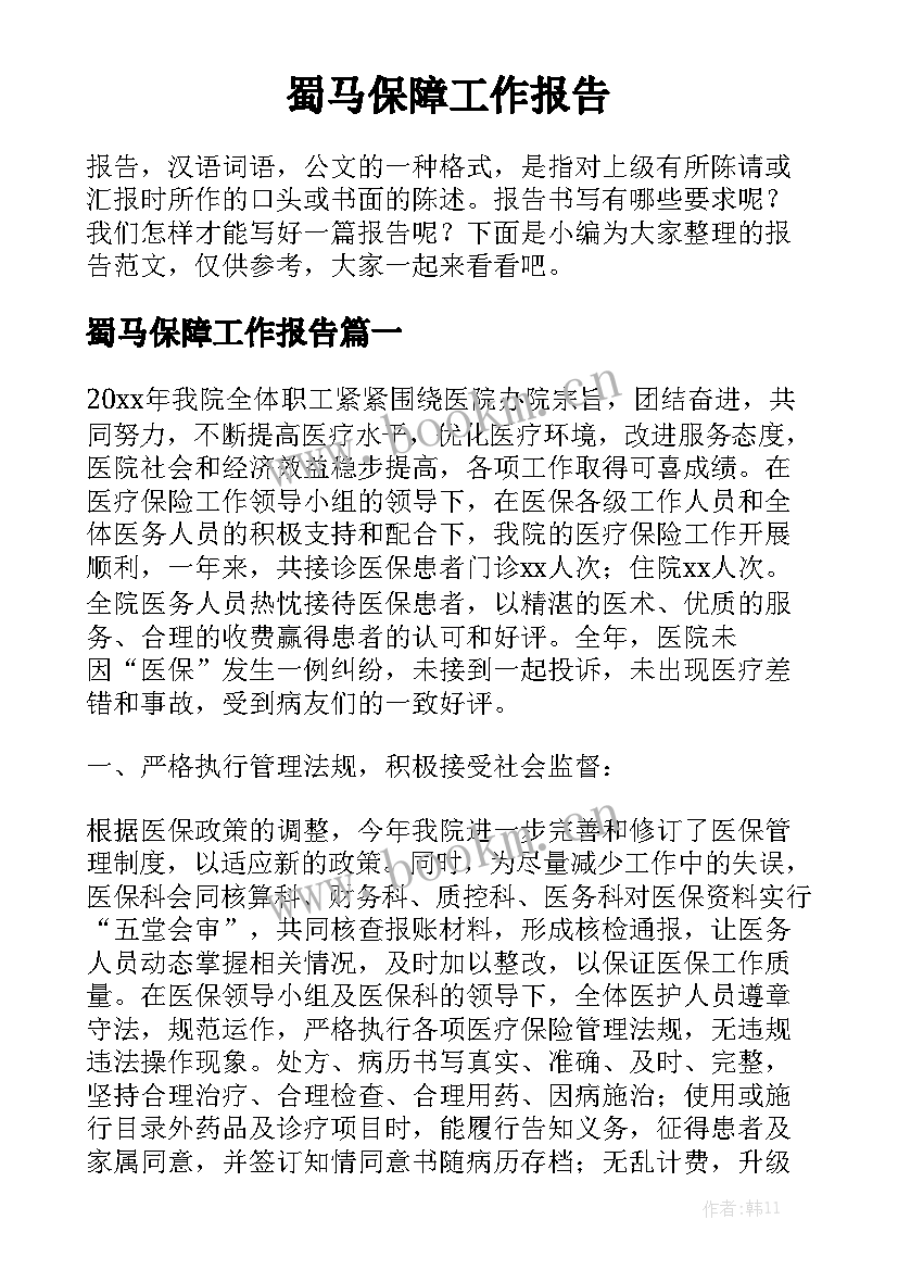 蜀马保障工作报告