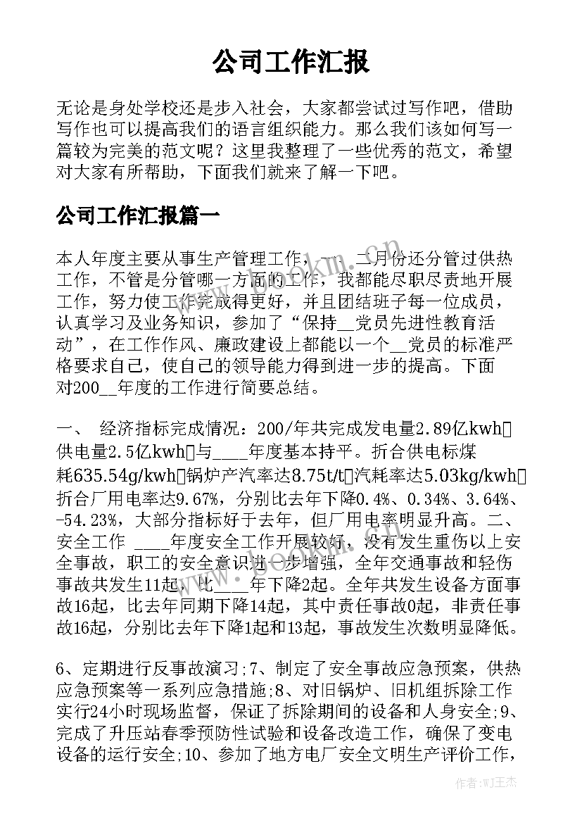 公司工作汇报