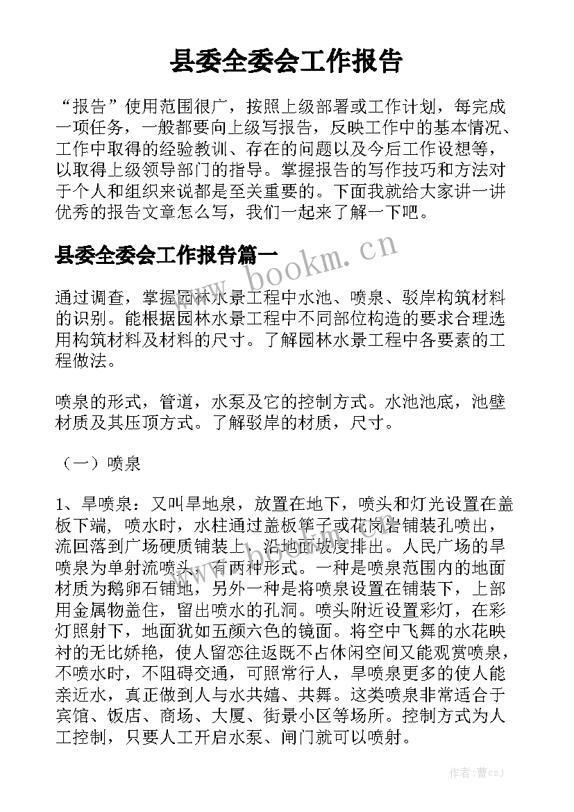 县委全委会工作报告