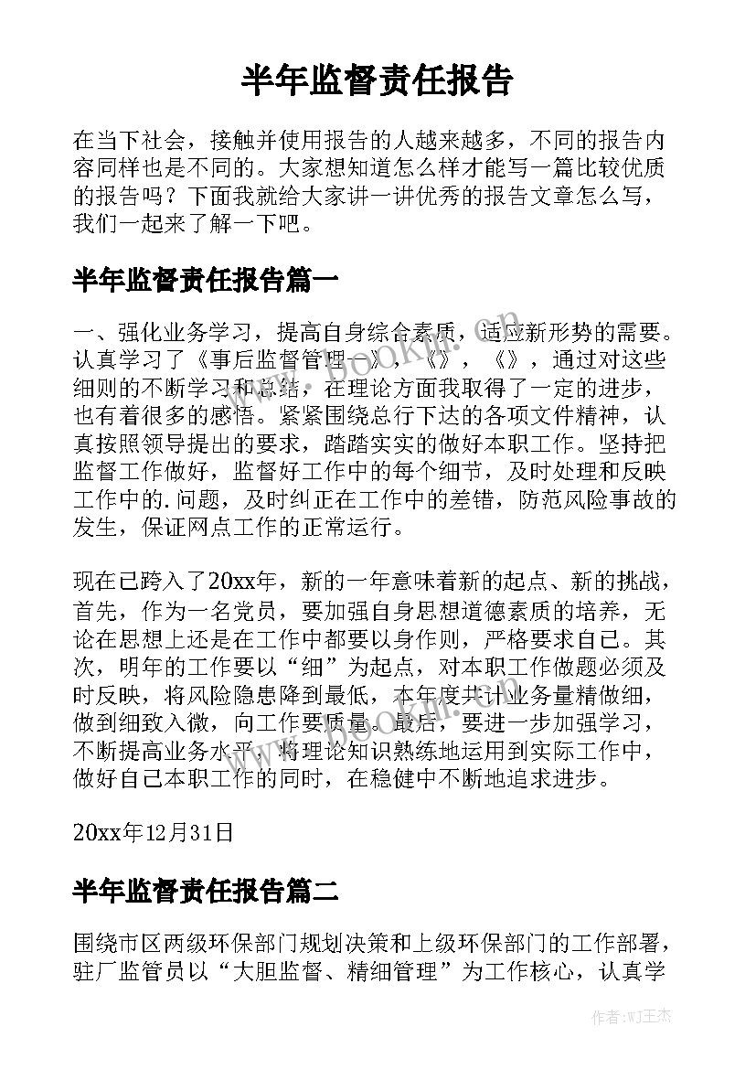 半年监督责任报告