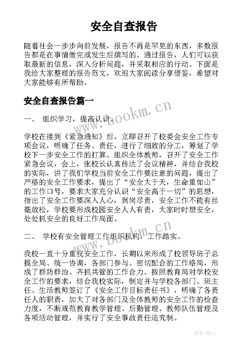 安全自查报告