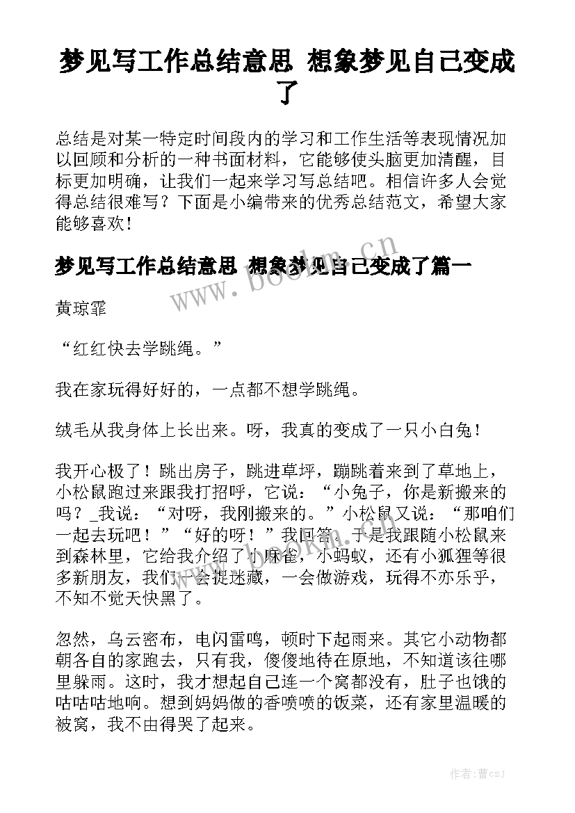 梦见写工作总结意思 想象梦见自己变成了