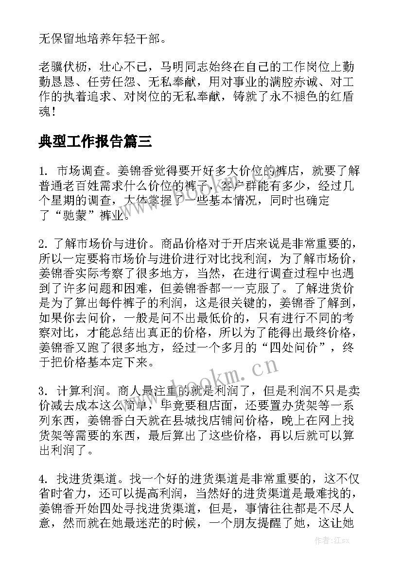 典型工作报告