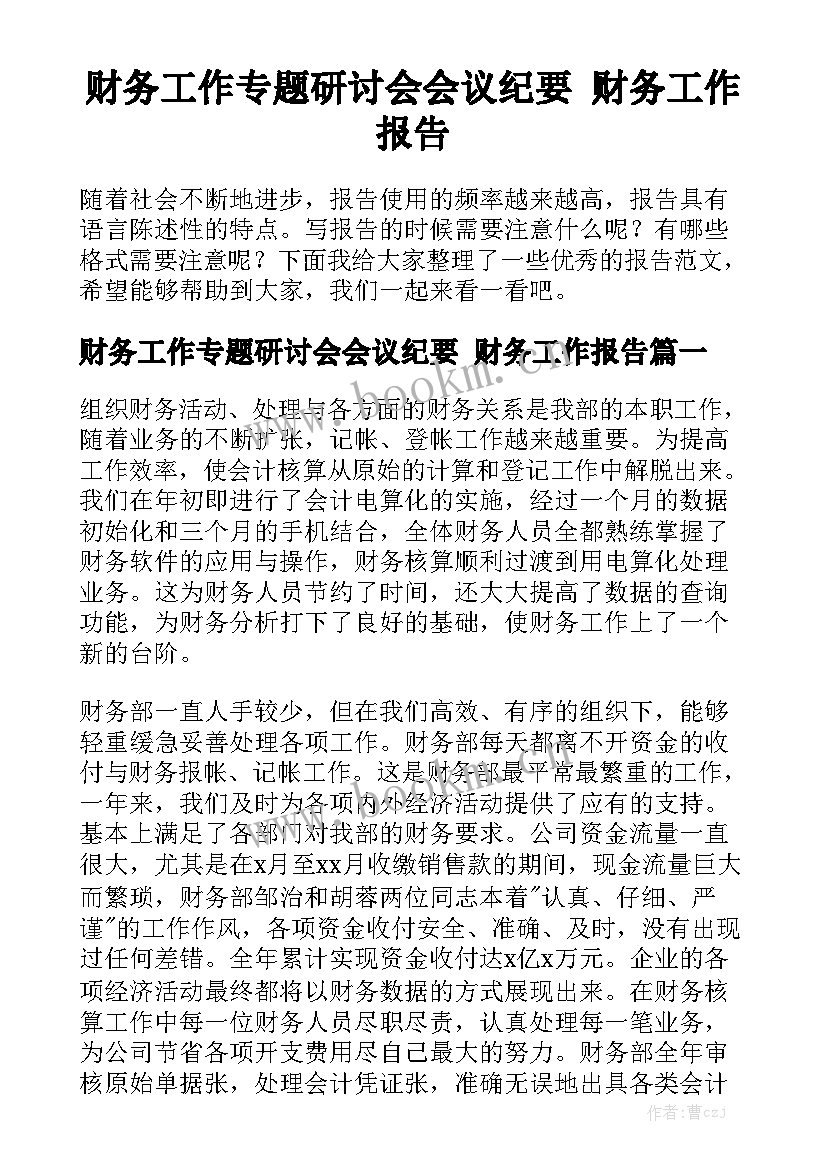 财务工作专题研讨会会议纪要 财务工作报告