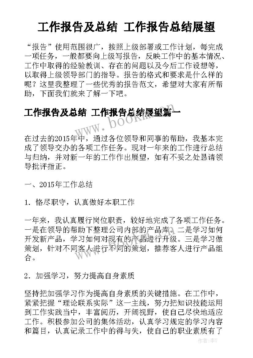 工作报告及总结 工作报告总结展望