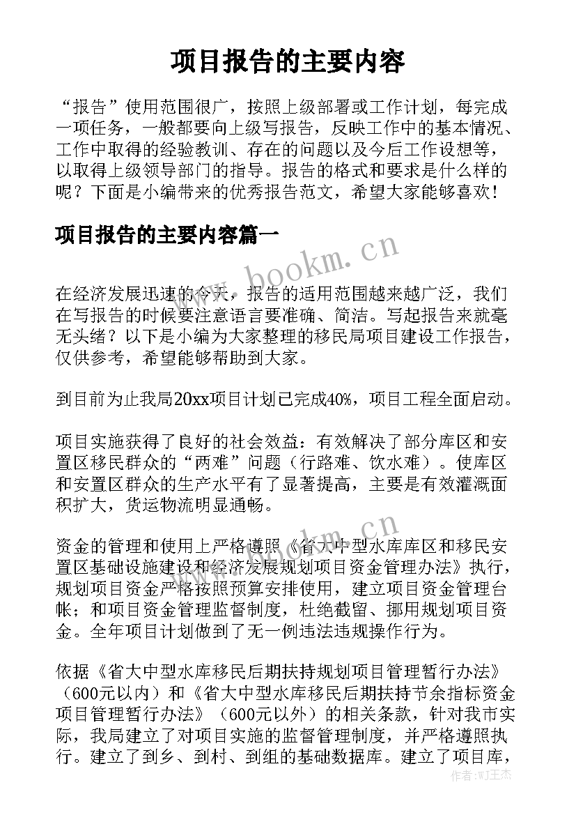 项目报告的主要内容