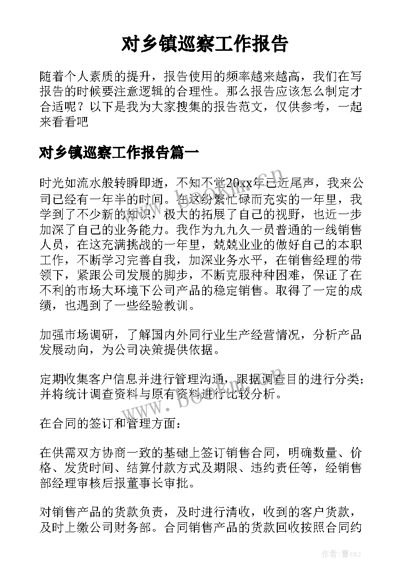 对乡镇巡察工作报告