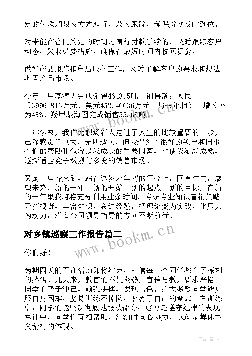 对乡镇巡察工作报告