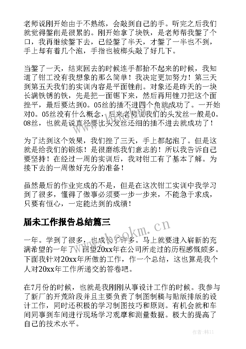 届未工作报告总结