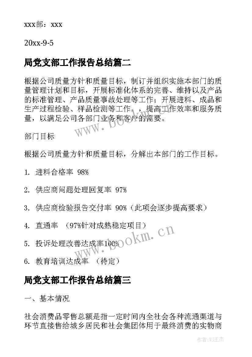 局党支部工作报告总结