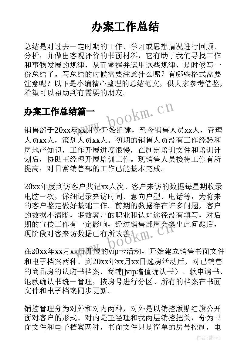 办案工作总结