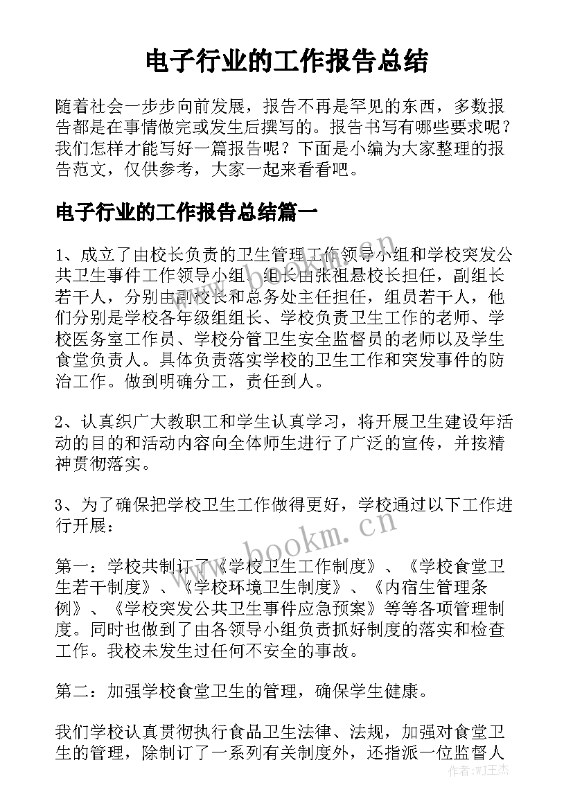 电子行业的工作报告总结