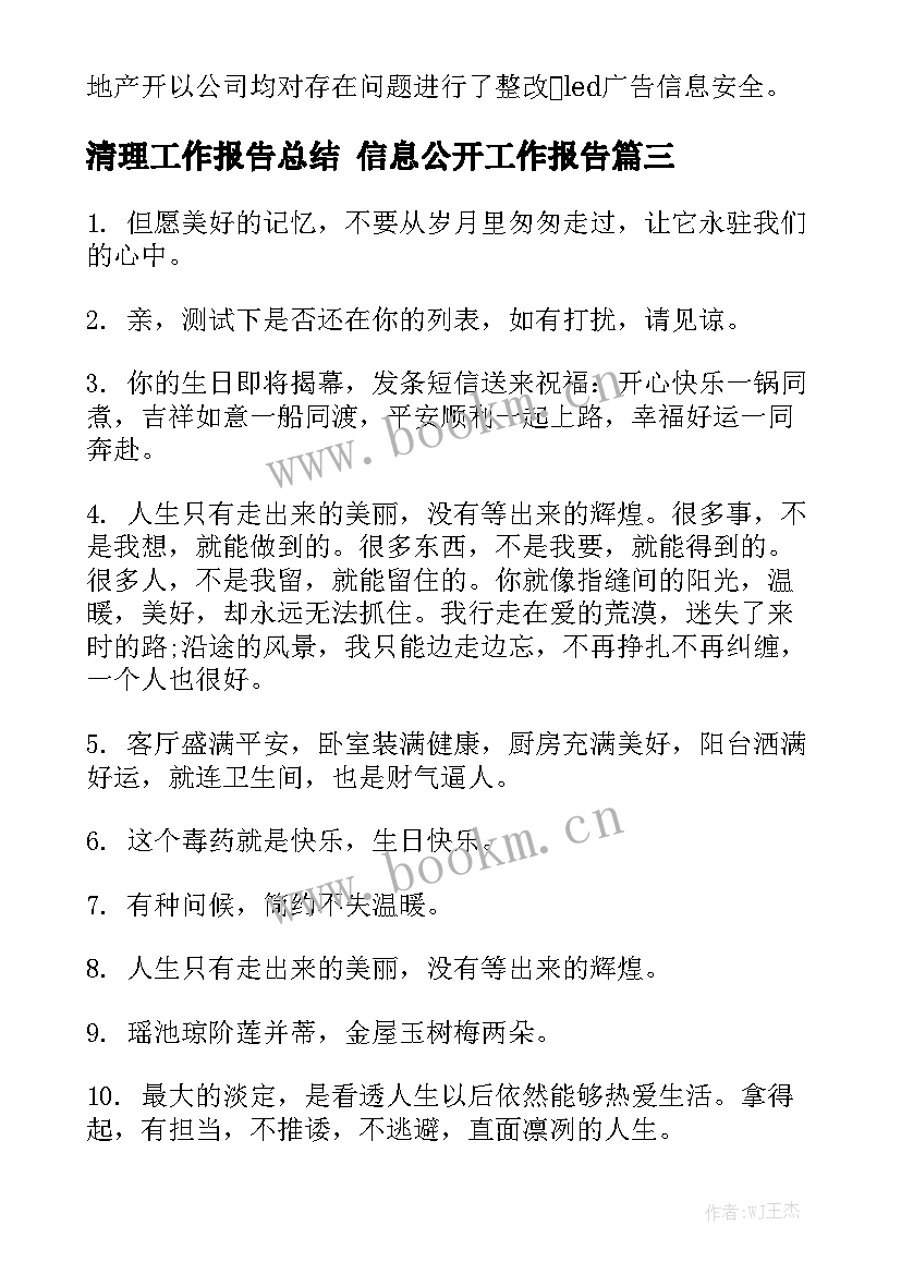 清理工作报告总结 信息公开工作报告