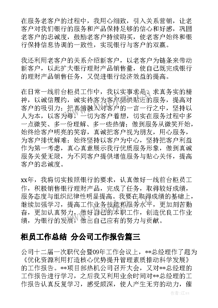 柜员工作总结 分公司工作报告