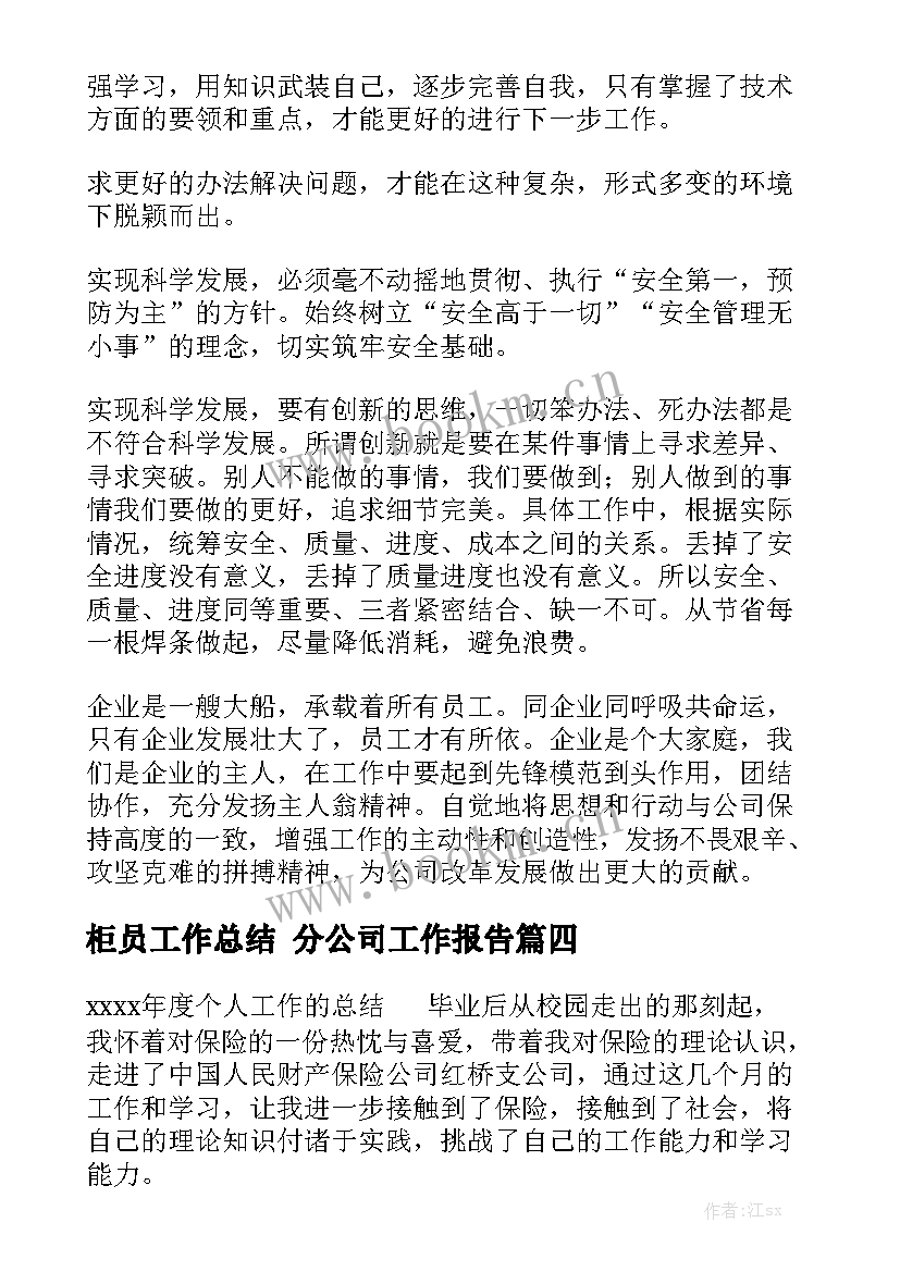 柜员工作总结 分公司工作报告