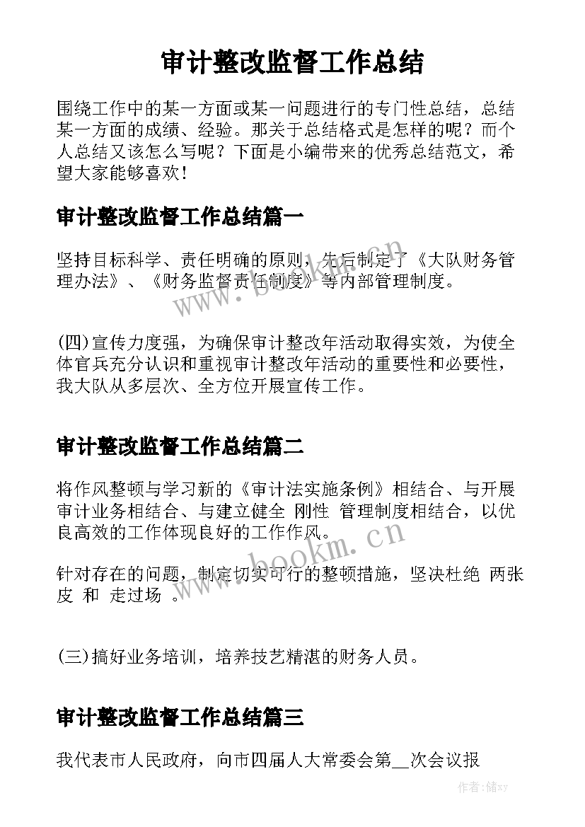 审计整改监督工作总结