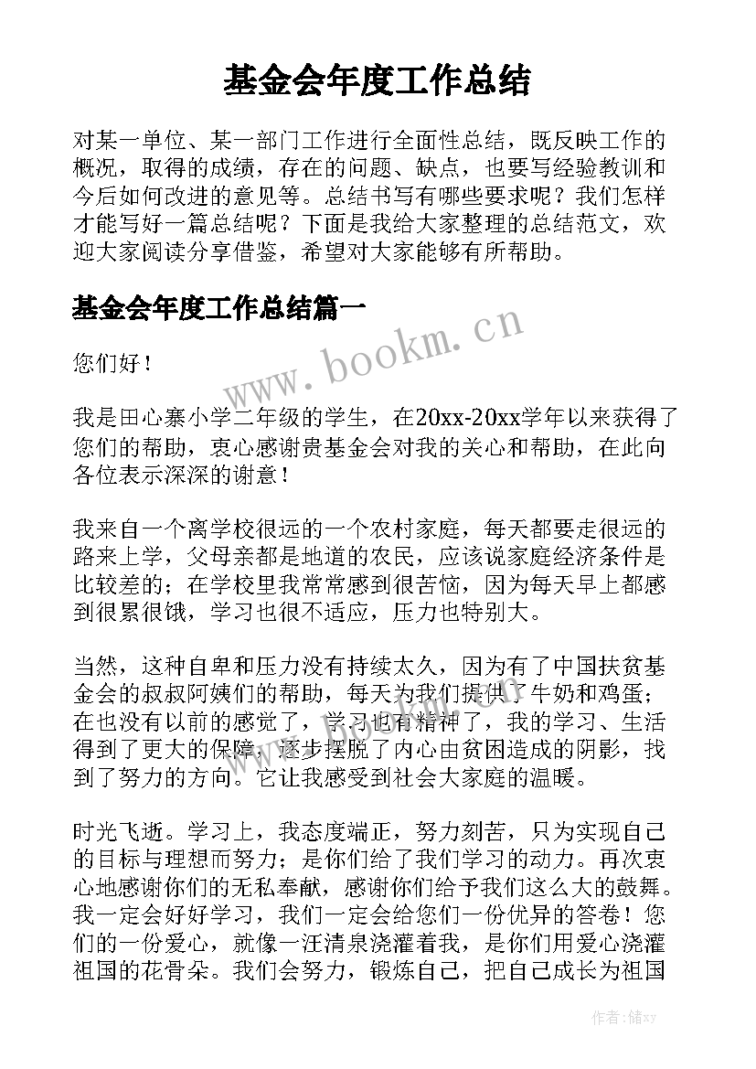 基金会年度工作总结