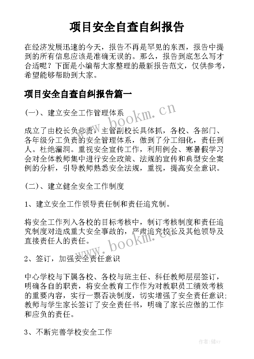 项目安全自查自纠报告