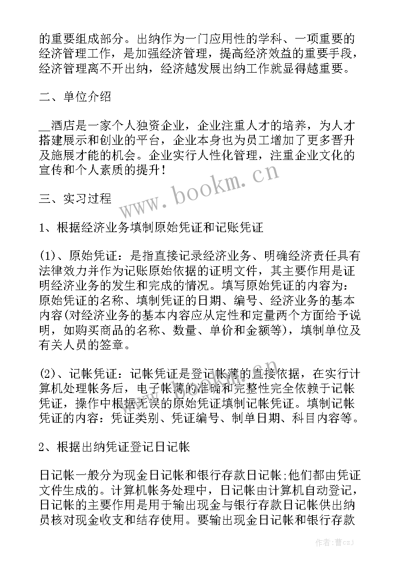 出纳主管工作总结 出纳顶岗实习工作报告