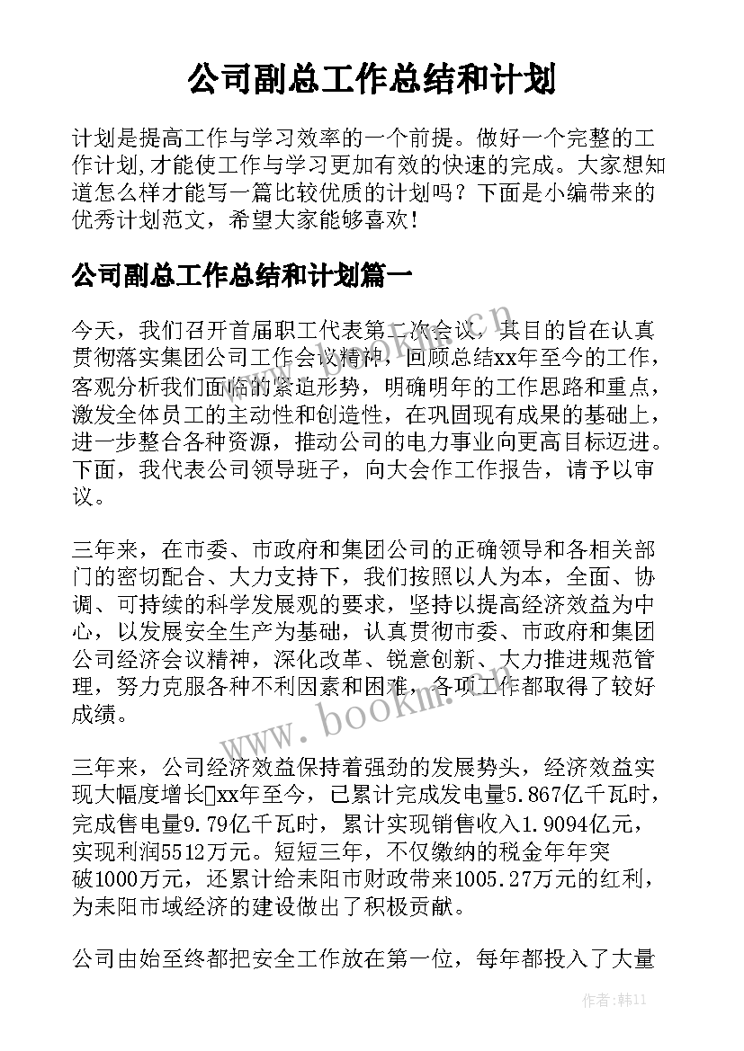 公司副总工作总结和计划