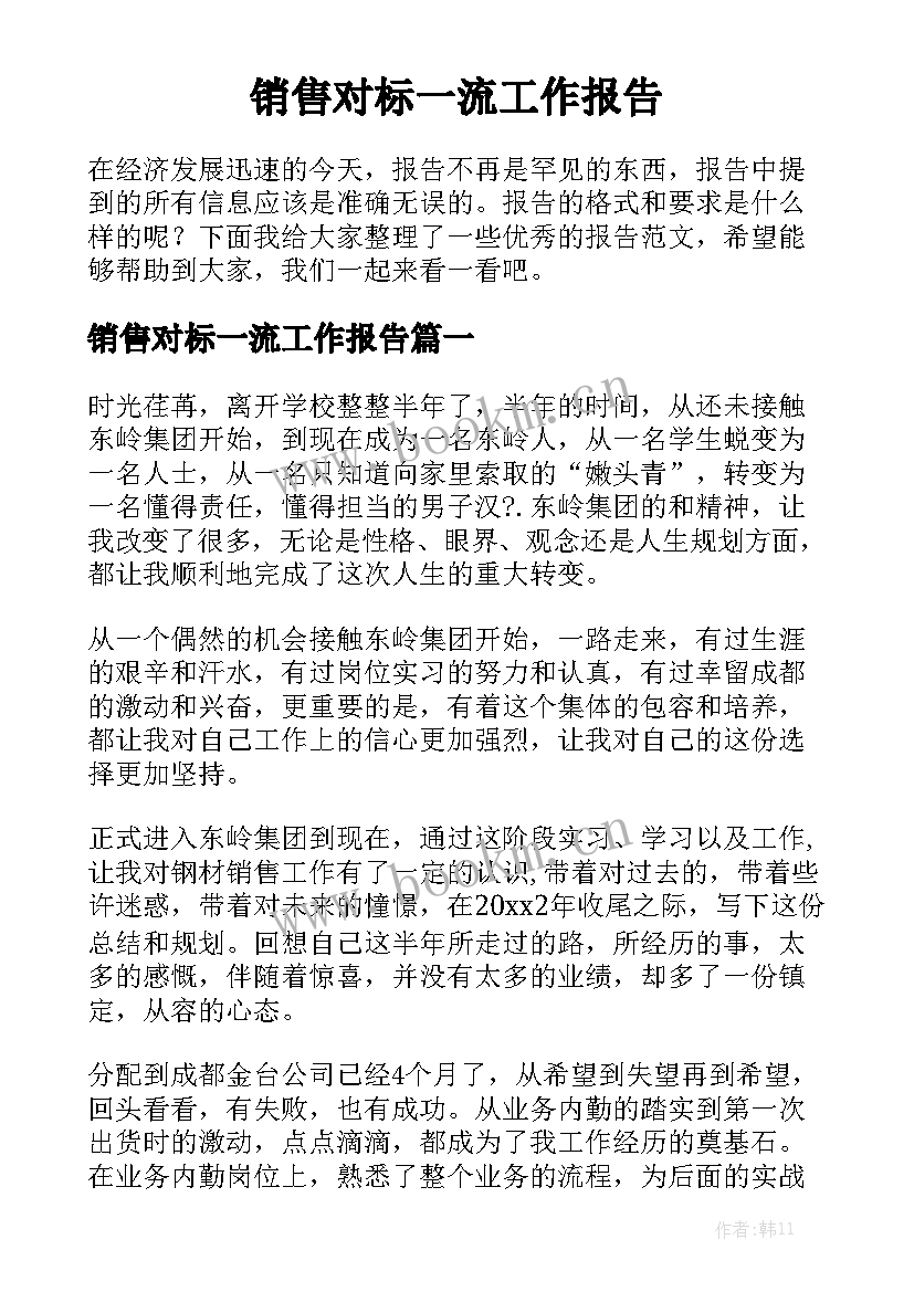 销售对标一流工作报告