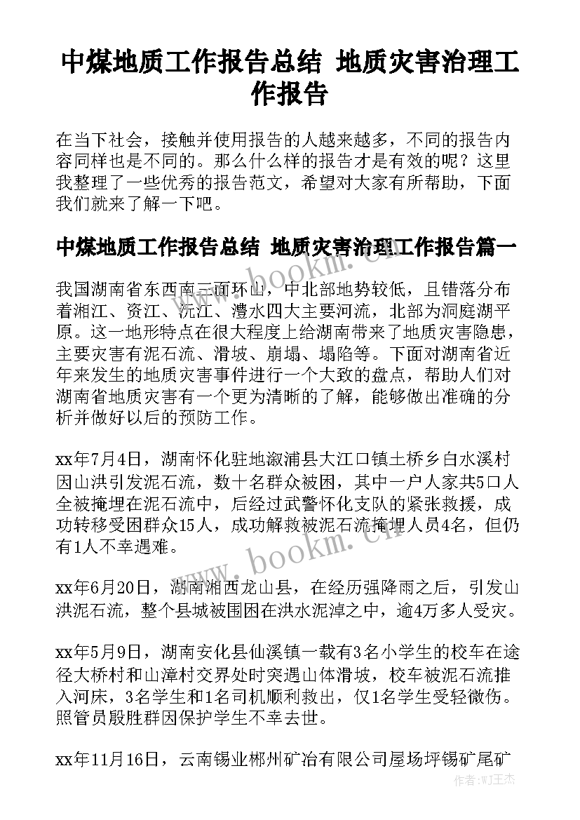 中煤地质工作报告总结 地质灾害治理工作报告