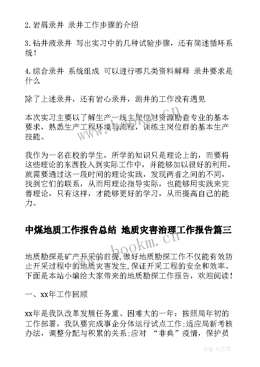 中煤地质工作报告总结 地质灾害治理工作报告