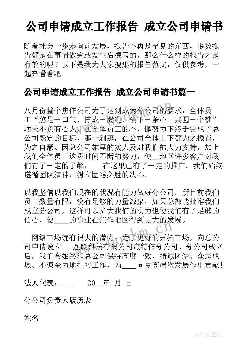 公司申请成立工作报告 成立公司申请书