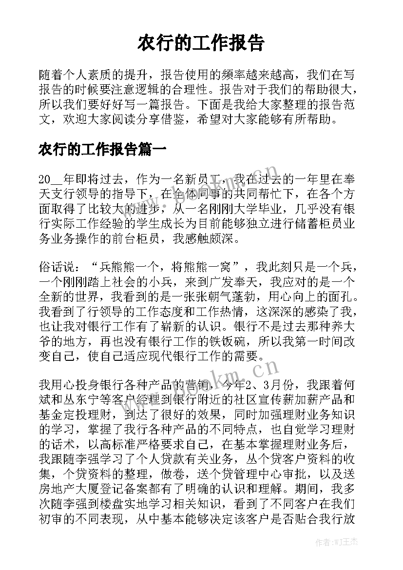 农行的工作报告