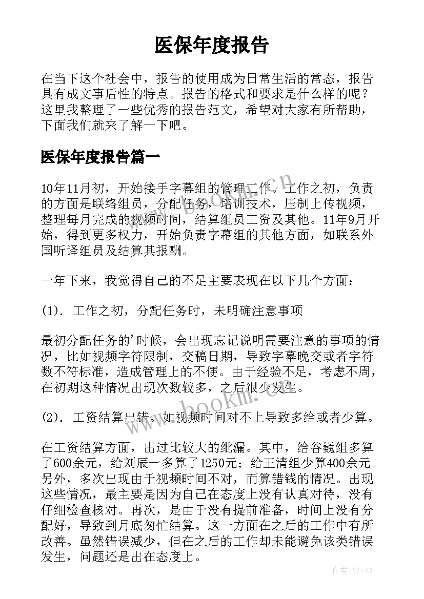 医保年度报告