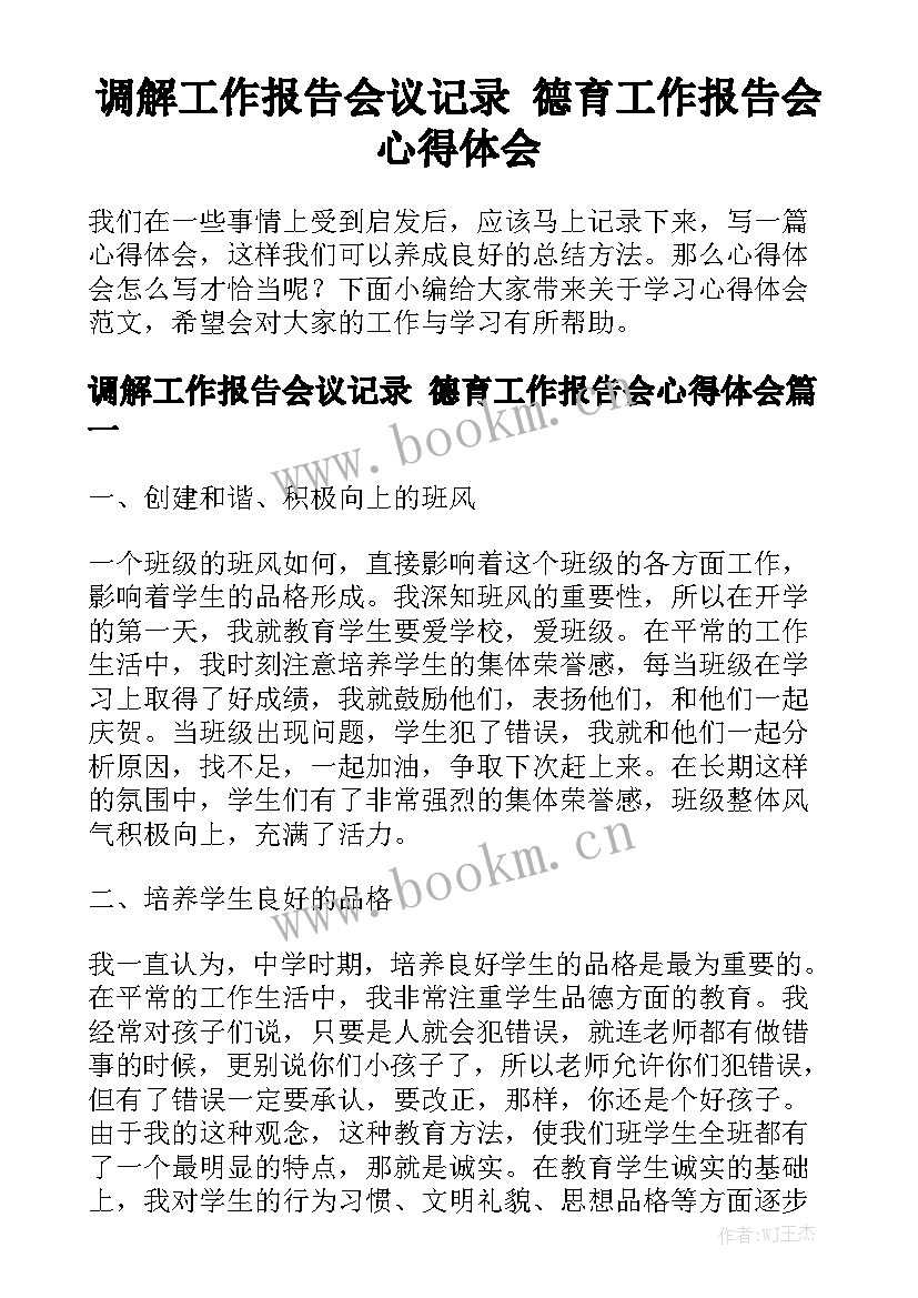 调解工作报告会议记录 德育工作报告会心得体会