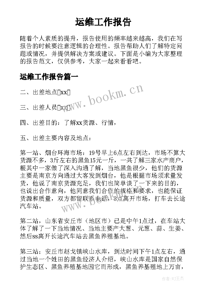 运维工作报告