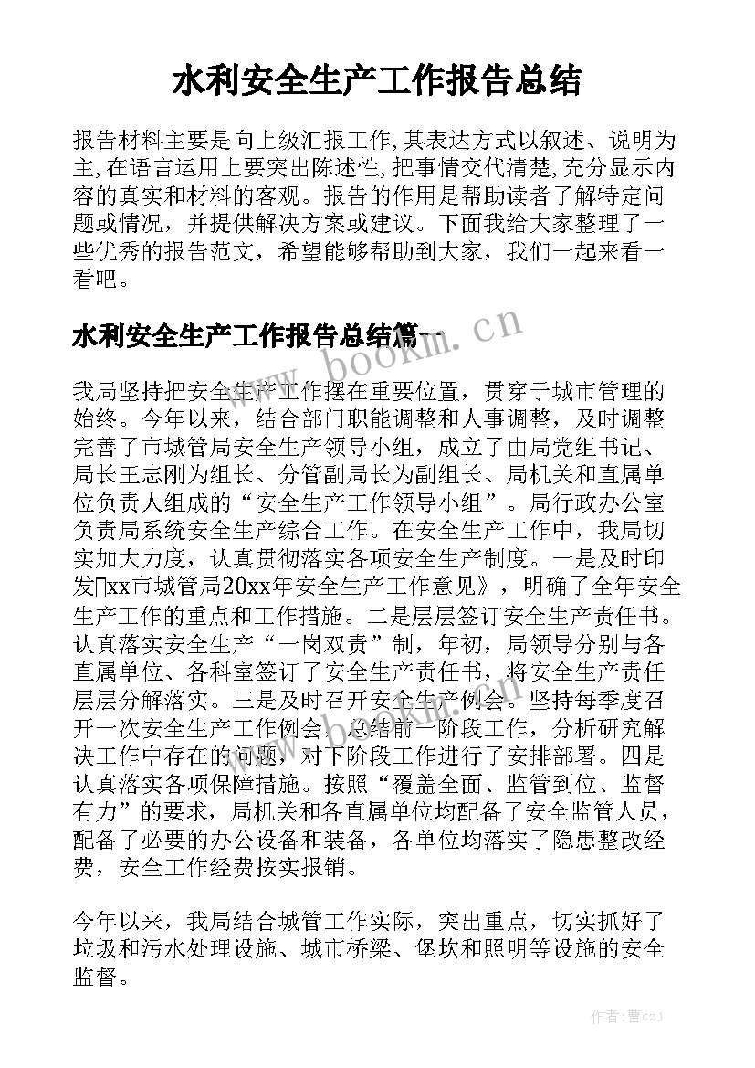 水利安全生产工作报告总结