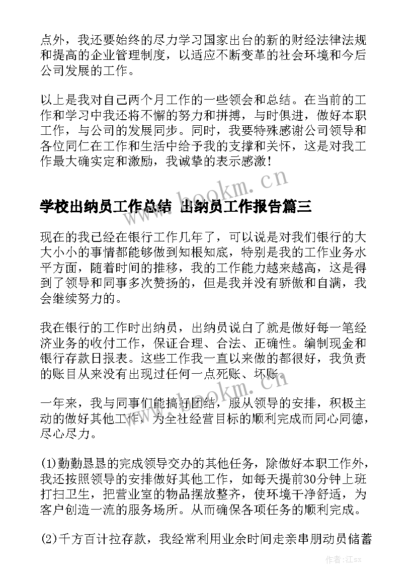 学校出纳员工作总结 出纳员工作报告