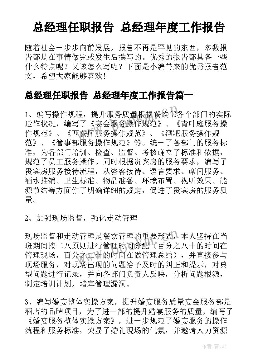 总经理任职报告 总经理年度工作报告