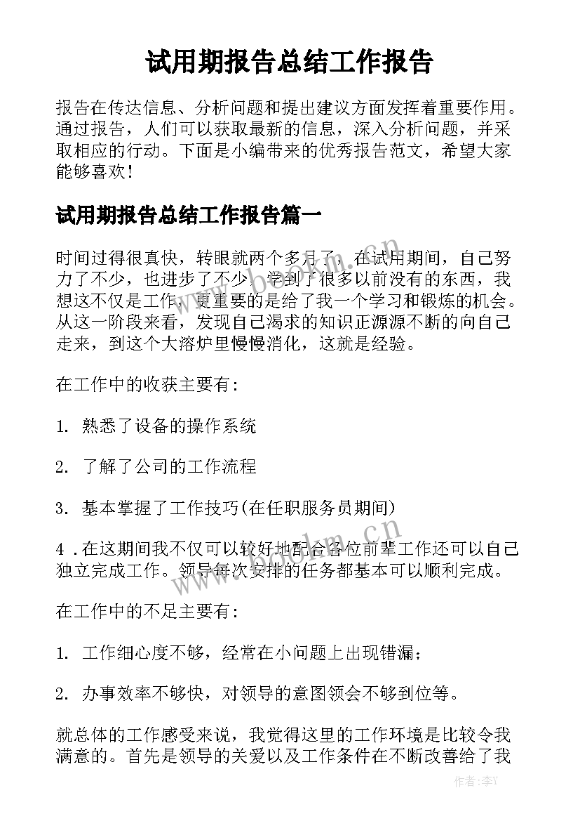 试用期报告总结工作报告