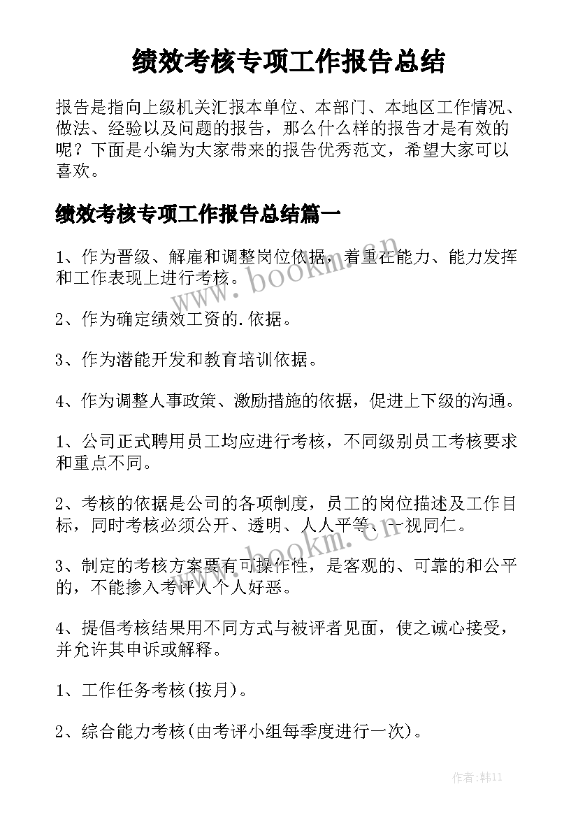 绩效考核专项工作报告总结